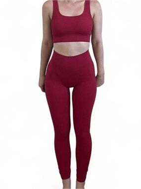 Seamless High-Waist Ribbed Leggings & Crop Tank Set - red